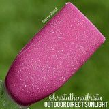 D1681 Berry Blast Dip Powder