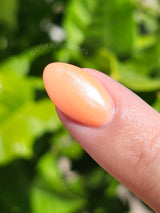 D1683 Cantaloupe Cream Dip Powder