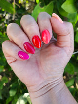 Hibiscus Heat | Tonal Set