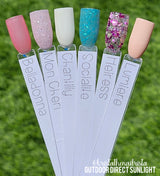 Anniversary 2026 Fancy Color Set
