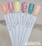 Anniversary 2026 Fancy Color Set