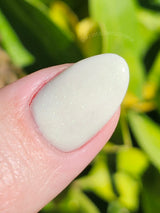 D1714 Key Lime Colada Shimmer Dip Powder