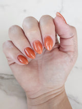 D1713 Aperol Spritzer