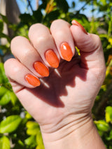 D1713 Aperol Spritzer