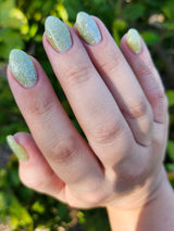 D1724 Limeade