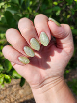D1724 Limeade