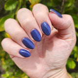 D1737 Layton Dip Powder