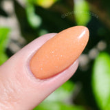 Bonfire Social | Dip Powder Tonal Set