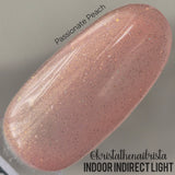 G1661 Passionate Peach Gel Polish