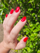 Dip Powder D937 Stiletto Red Creme Dip Powder