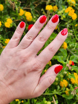 Dip Powder D937 Stiletto Red Creme Dip Powder