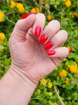 Dip Powder D937 Stiletto Red Creme Dip Powder