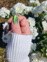 Gel Polish G1581 Mossfire Green Cat Eye Gel Polish