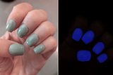 TRC August shade 1-2024