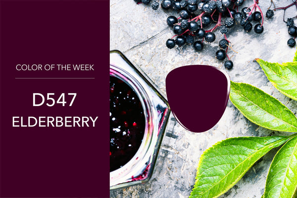 Color of the Week - D547 Elderberry