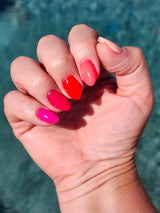 Hibiscus Heat | Tonal Set