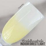 D1702 Chantilly  Dip Powder
