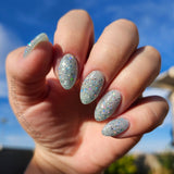 D1736 Cinderelly Glitter Dip Powder