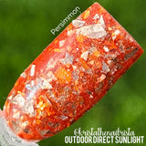 D1731 Persimmon Flake Dip Powder