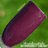 D1805 Bewitched Dip Powder