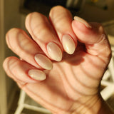 G1659 Largo Gel Polish