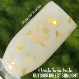 D1760 Snowflake Sparkle Dip Powder