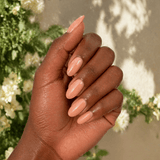 Bloom, Blush and Breeze Bundle