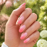 Bloom, Blush and Breeze Bundle