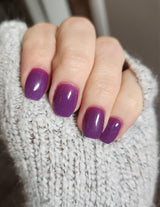 Dip Powder D254 Lust Purple Glitter Dip Powder